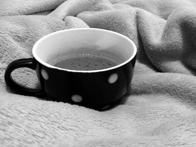 receita de chocolate quente: 300 mL de leite, 2 colheres de sopa de chocolate em pó, uma colher de chá de maizena e duas colheres de leite condensado. dissolver a maizena separadamente e depois misturar tudo. deixar em fogo brando.